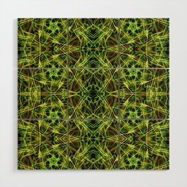 Liquid Light Series 71 ~ Colorful Abstract Fractal Pattern Wood Wall Art