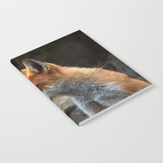 Fox renard 4 Notebook