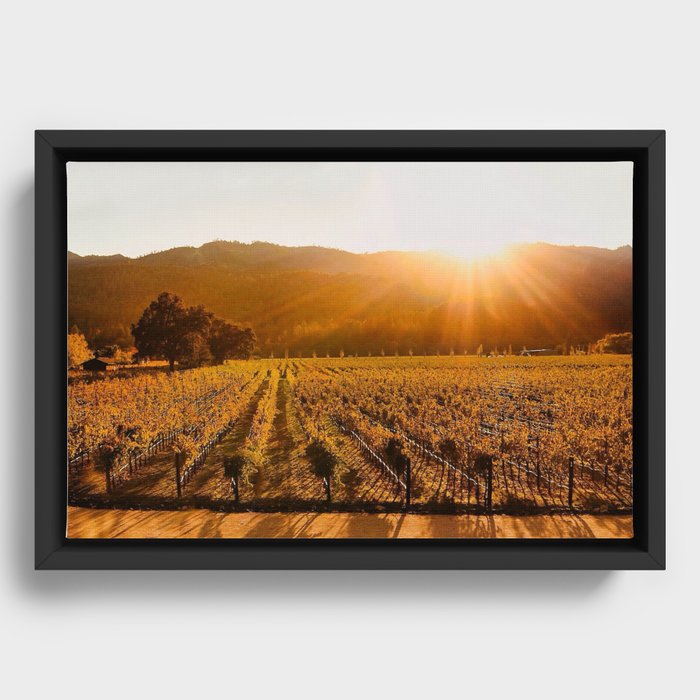 Framed Canvas