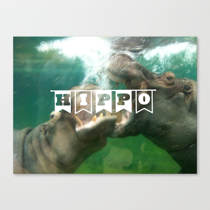 hippo...hippo... Canvas Print