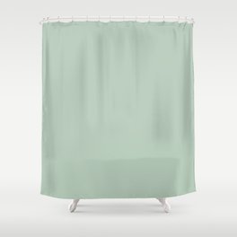 Light Green Solid Color Pantone Celadon 13-6108 TCX Shades of Green Hues Shower Curtain