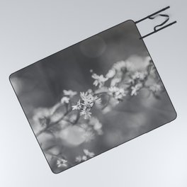 Asters Aglow - Flower Photography Picnic Blanket