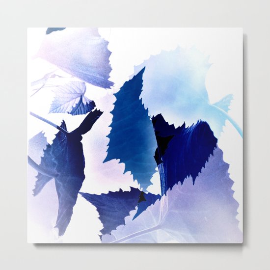 transparent leaves Metal Print