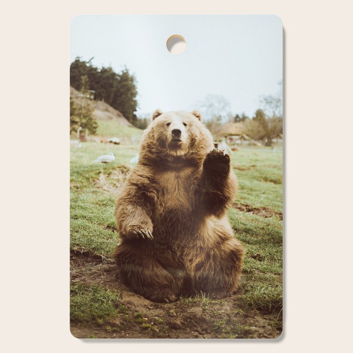 小物入れ Hi Bear Wood Wall Art by beccatapert 小物入れ Hi Bear Wood Wall Art by beccatapert Hi Bear Poster by