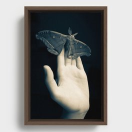 Polyphemus Moths Framed Canvas