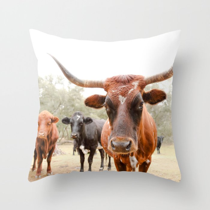 Longhorn Lookers Throw Pillow