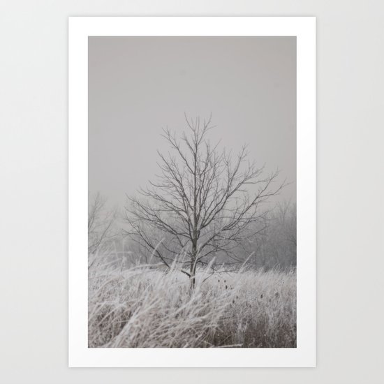 Wintered Art Print