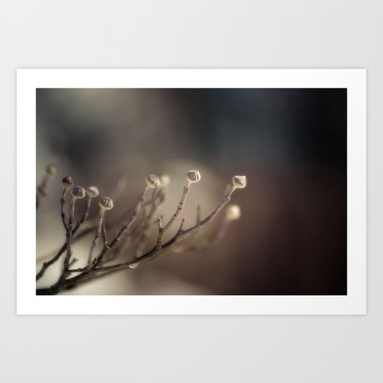A Winter's Promise Art Print