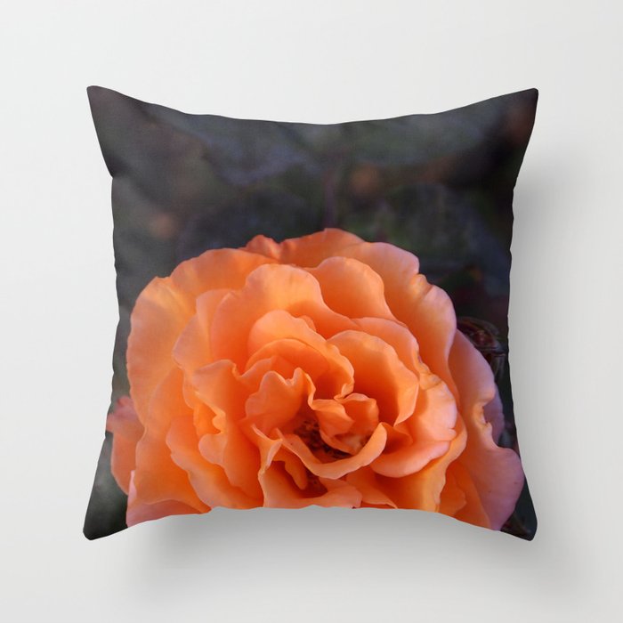 Holland Park Rose Throw Pillow