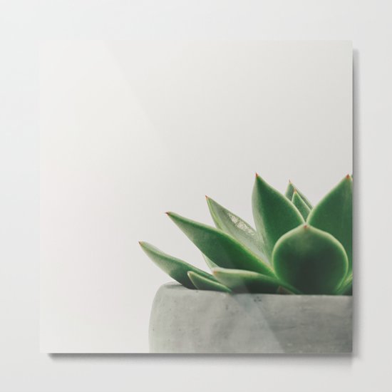 Minimal Cactus - Cacti Photography Metal Print