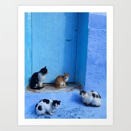 Cats in Chefchaouen Art Print