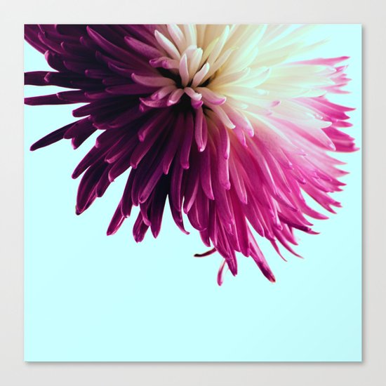 One Flower Canvas Print