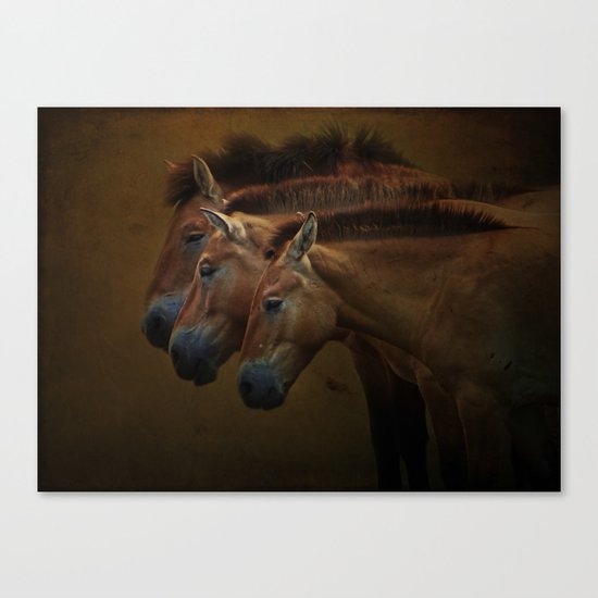 Three Amigos Canvas Print