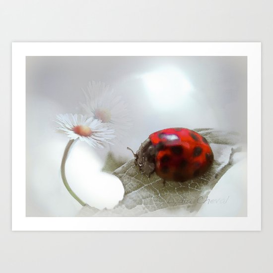 For the love of a daisy Art Print