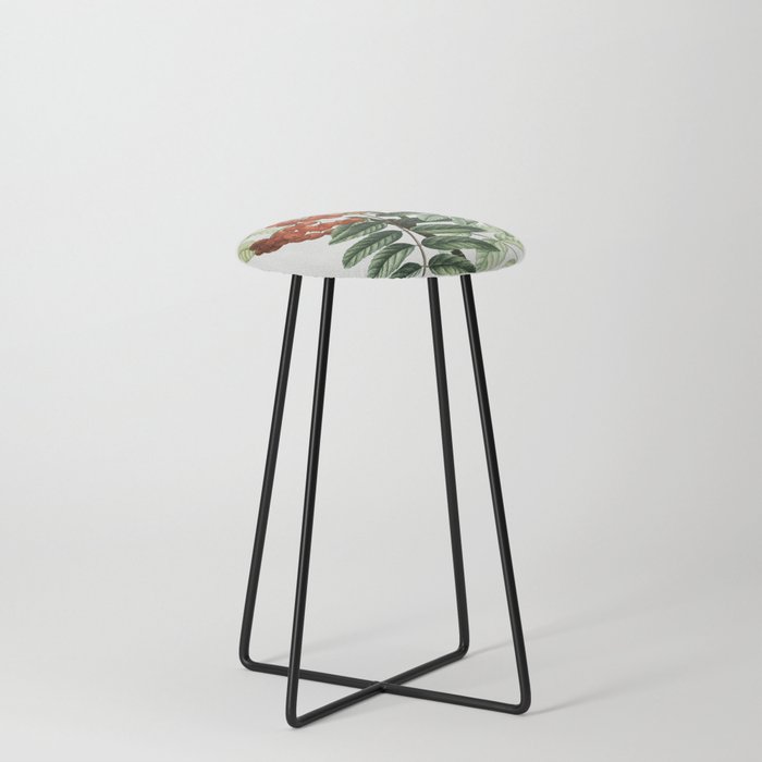 Mountain Ash (Sorbus Aucuparia) Counter Stool