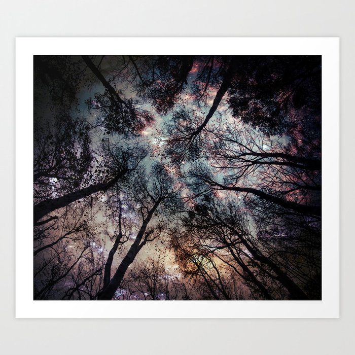 Starry Sky in the Forest Kunstdrucke