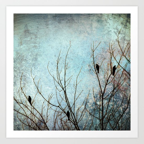 Calm Art Print