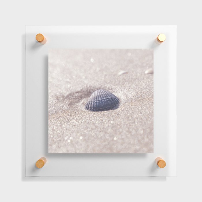 Seashell on a french summer beach - coastal nature and travel photography Floating Acrylic Print