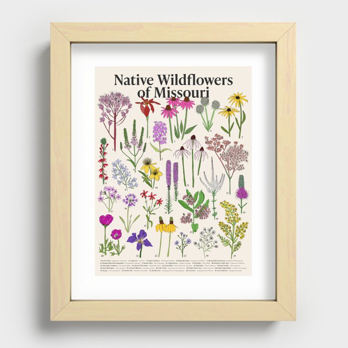 Native Missouri Wildflowers Recessed Framed Print