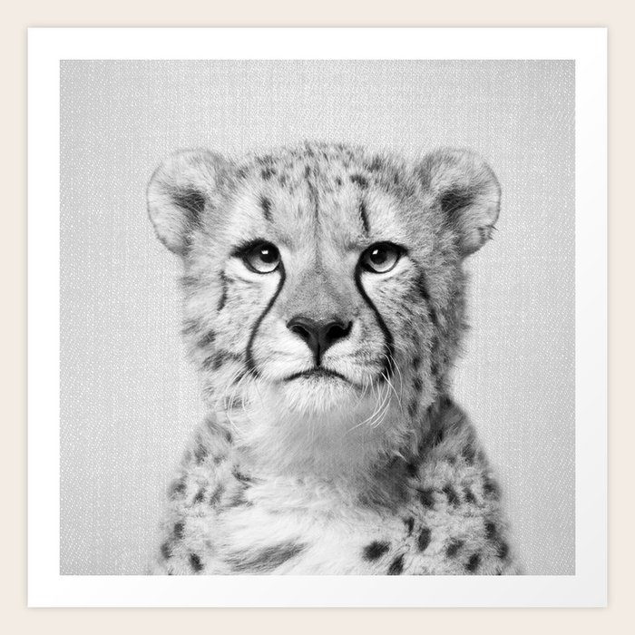 Cheetah Black White Art Print By Galdesign