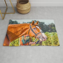 Horse head photo closeup Rug