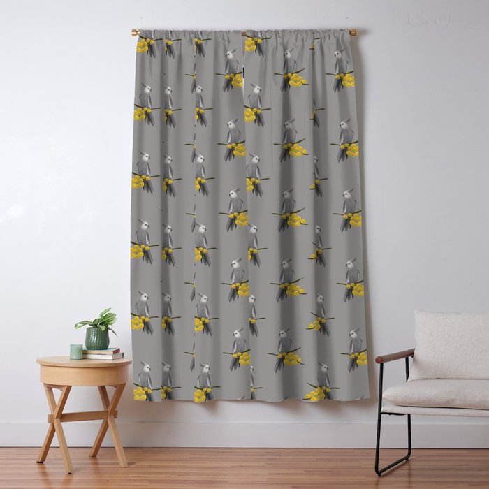 Blackout Curtain