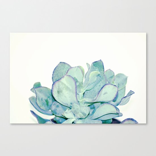 #166 Canvas Print