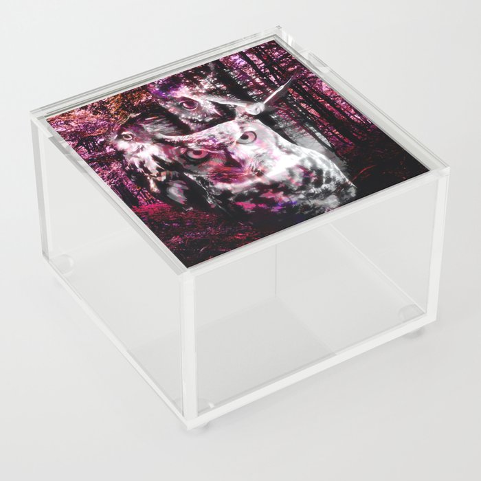 Forest Owl Painting Acrylic Box