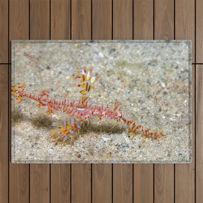 Ornate ghost pipefish Outdoor Rug