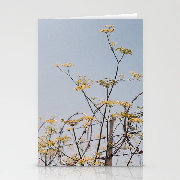 Yellow Flowers on Barbed Wire Stationery Cards