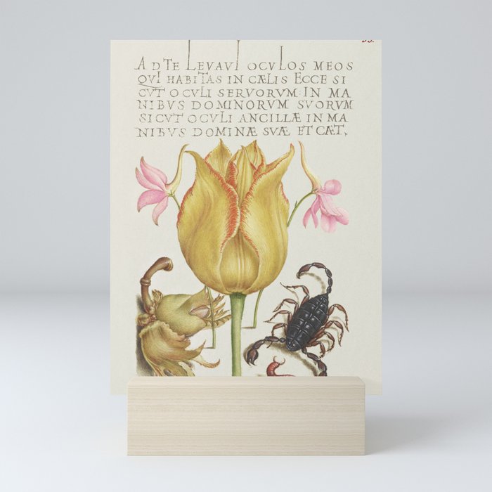 Vintage Calligraphic bugs and flowers Mini Art Print