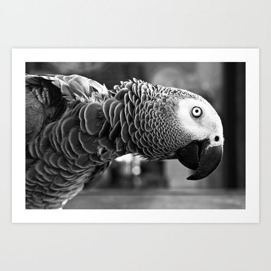 Pretty Bird Art Print
