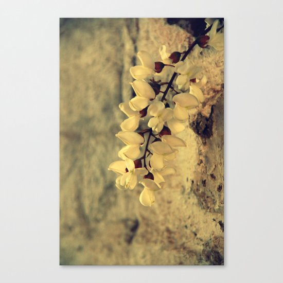 mood Canvas Print