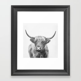 Highland Bull Framed Art Print