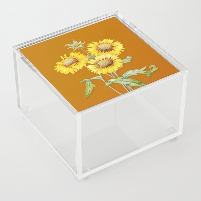 Vintage Blanket Flowers Botanical Illustration on Sunset Orange Acrylic Box