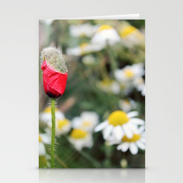 Poppy and daisies Stationery Cards