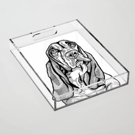 Soulful Basset Hound Pop Art, Black and White Line Drawing of a Basset Hound Acrylic Tray