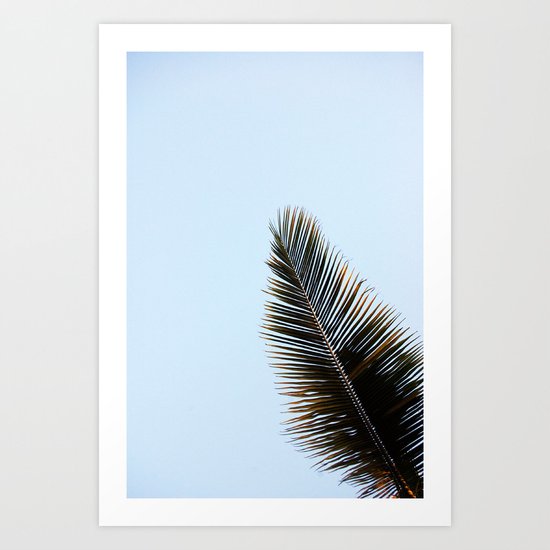 Palmera Art Print