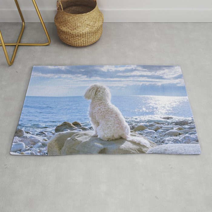 Beige Poodle Sitting On White Stone Rug