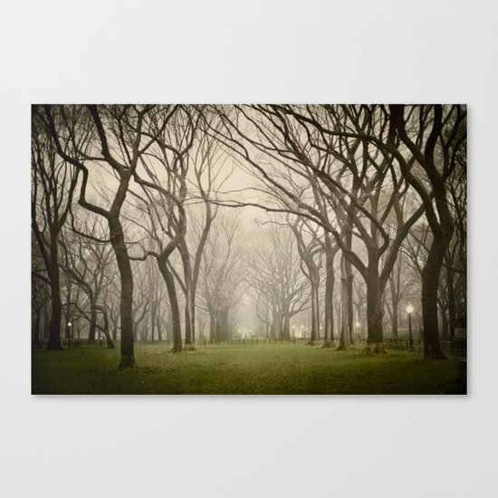 Enchanted Canvas Print