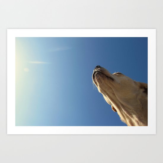 It's A Dog Day Art Print
