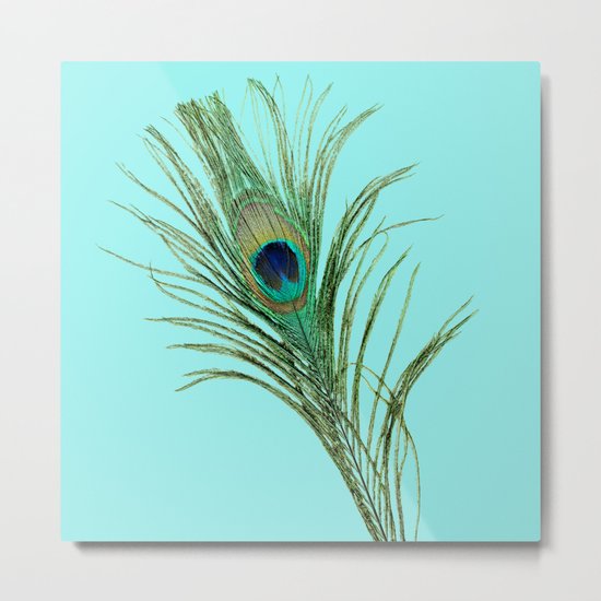 Peacock Feather on Blue Background Metal Print