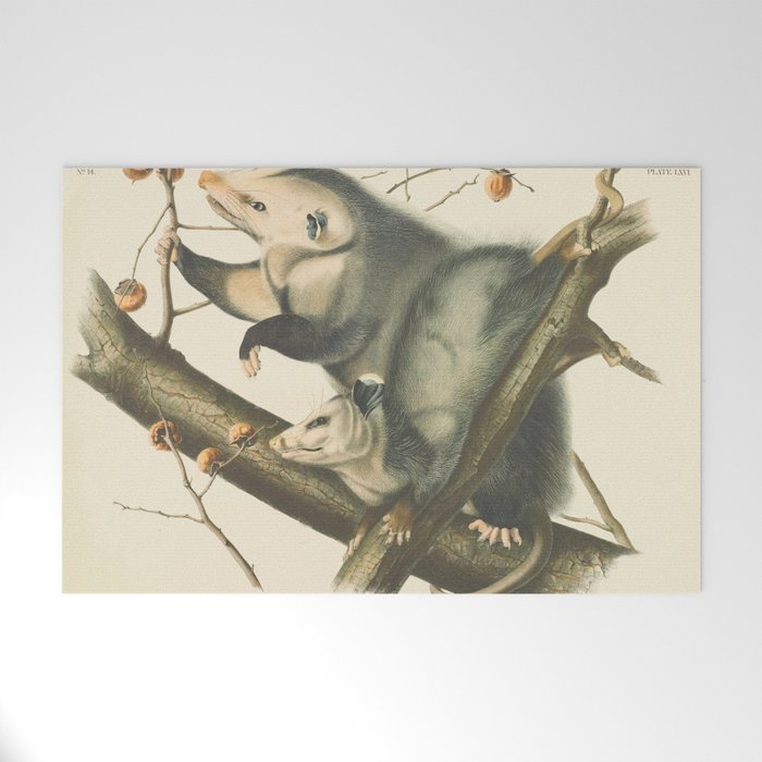 Vintage Illustration of Mother and Baby Possum - John James Audubon - 1840 Welcome Mat