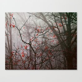 Forest of Red Canvas Print
