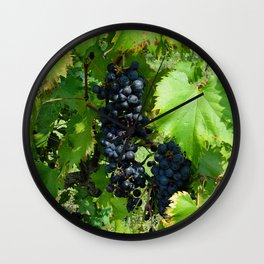 Grapes in the Sunshine Wall Clock | Ripe, Photo, Grapes, Harvest, Food, Purple, Green, Shade, Leaves, Sunshine 
