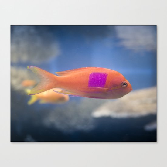 Color Block Canvas Print