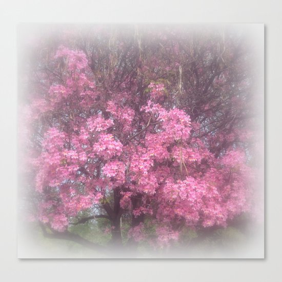 cherry's blossom - 3 Canvas Print