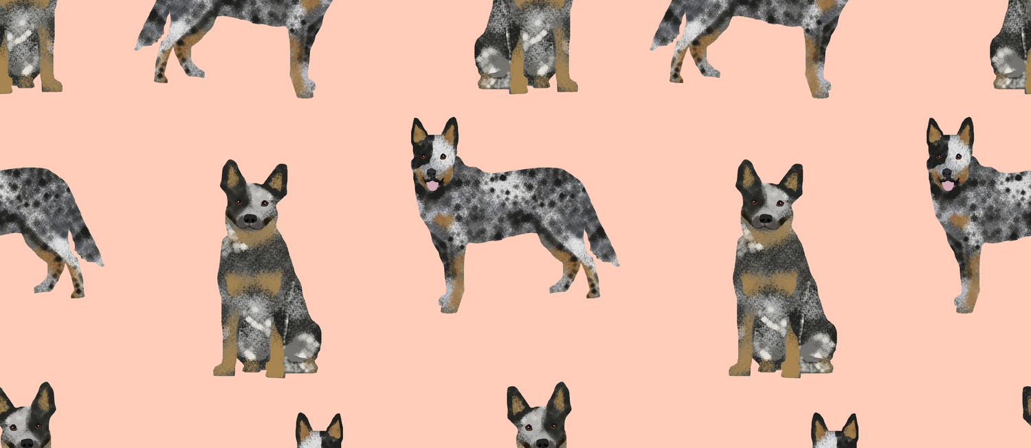 blue heeler gift ideas