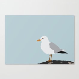 Sea Gull - Kittiwake Canvas Print