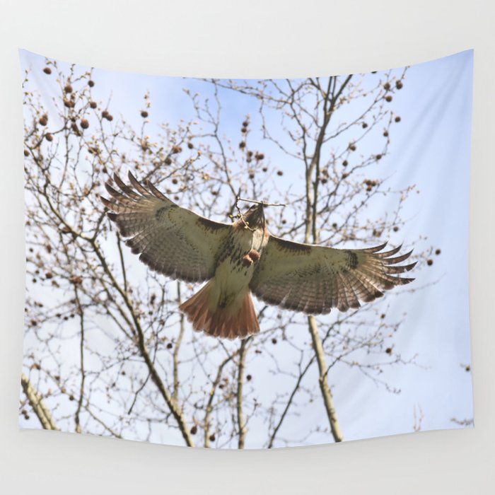 Gliding hawk 18 Wall Tapestry